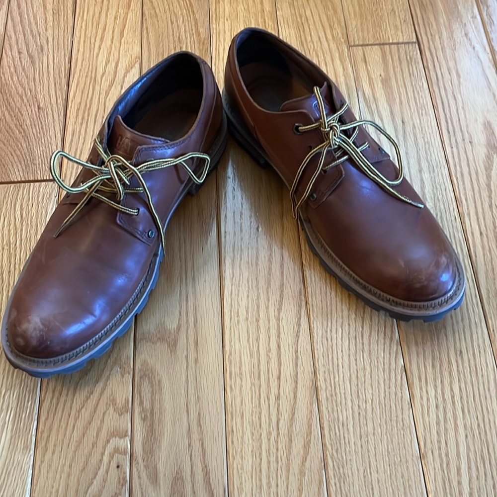 Cat oxfords